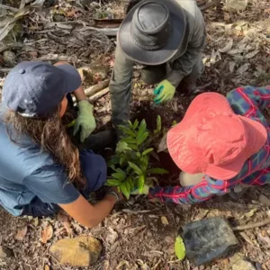 Ecosystem-based Adaptation project